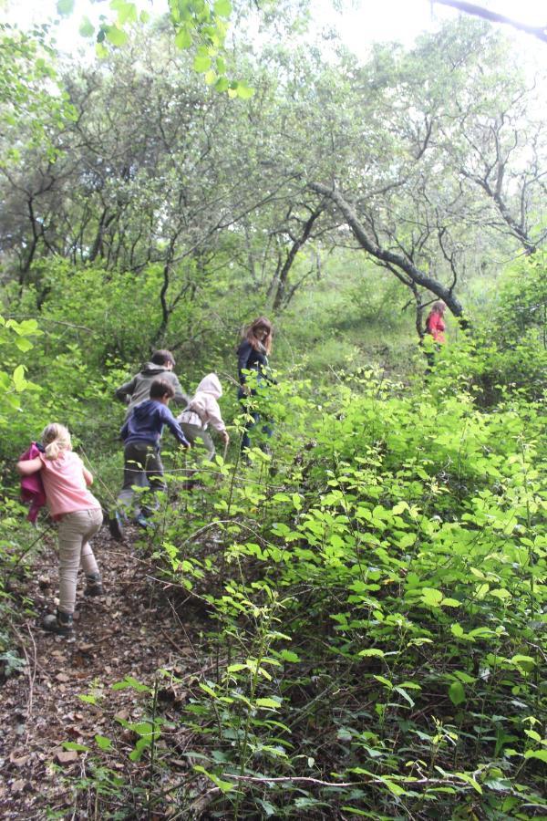 Nature Space Jabugo Zewnętrze zdjęcie